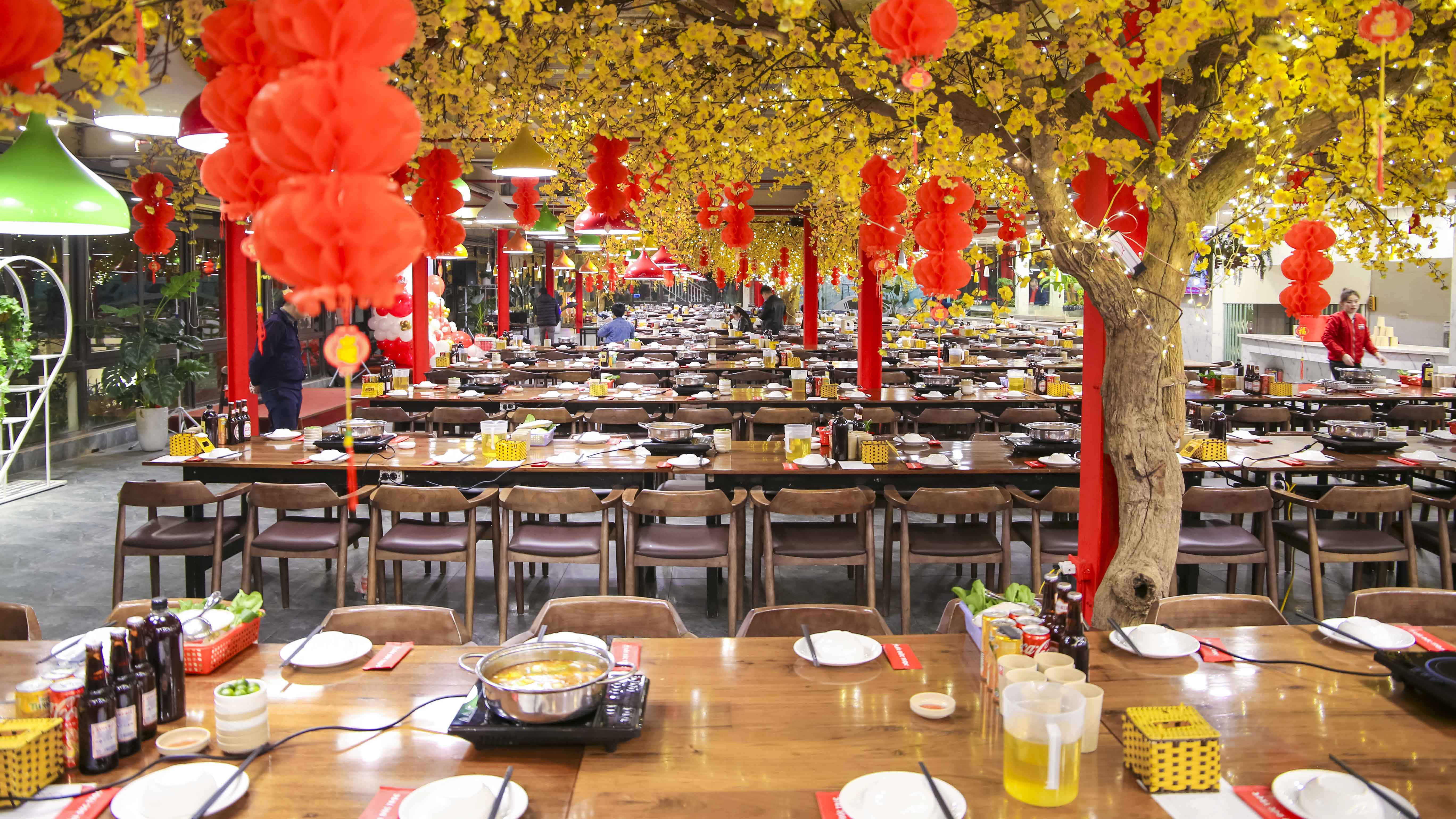 lĩnh vực hoạt động